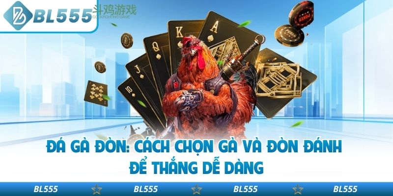 Đá Gà Đòn: Cách Chọn Gà Và Đòn Đánh Để Thắng Dễ Dàng