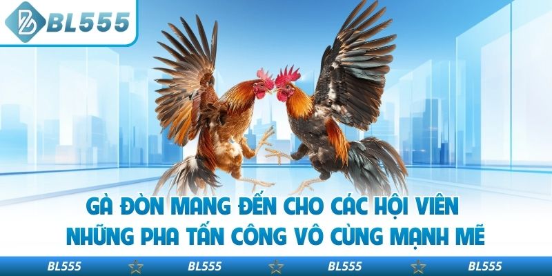 Gà đòn mang đến cho các hội viên những pha tấn công vô cùng mạnh mẽ