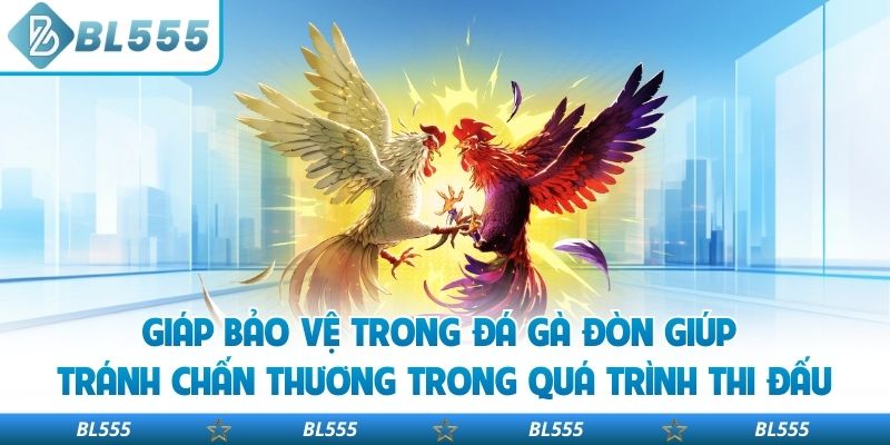 Giáp bảo vệ trong đá gà đòn giúp tránh chấn thương trong quá trình thi đấu