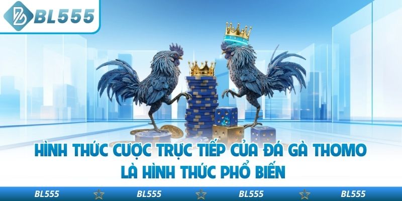 Hình thức cược trực tiếp của đá gà Thomo là hình thức phổ biến