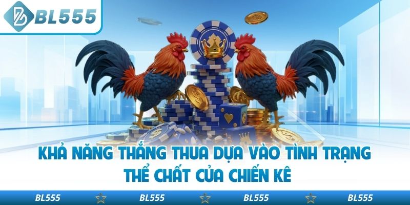Khả năng thắng thua dựa vào tình trạng thể chất của chiến kê