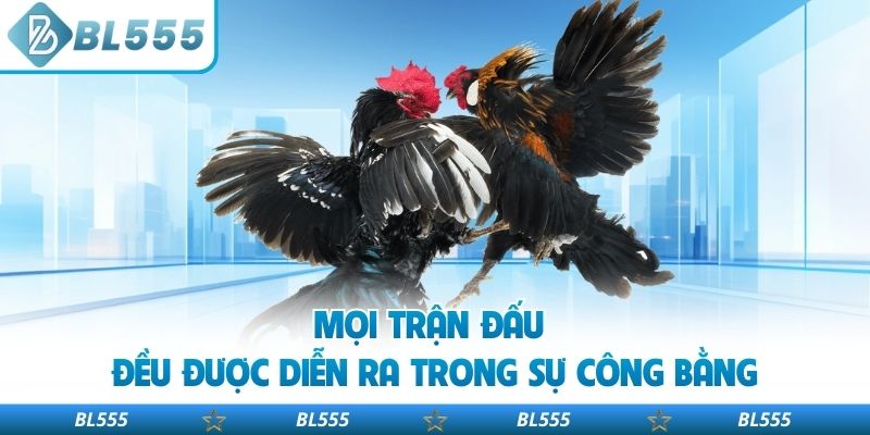 Mọi trận đấu đều được diễn ra trong sự công bằng